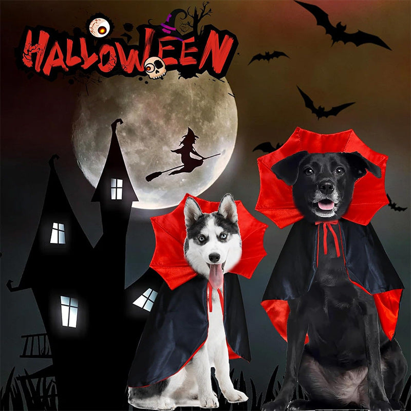 Halloween Pet Witch Cloak Costume