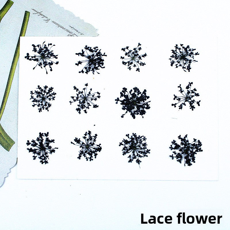 Black Dried Flowers DIY Craft Materials
