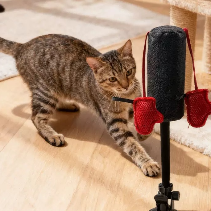 Interactive Cat Punching Toy with Bouncing Spring
