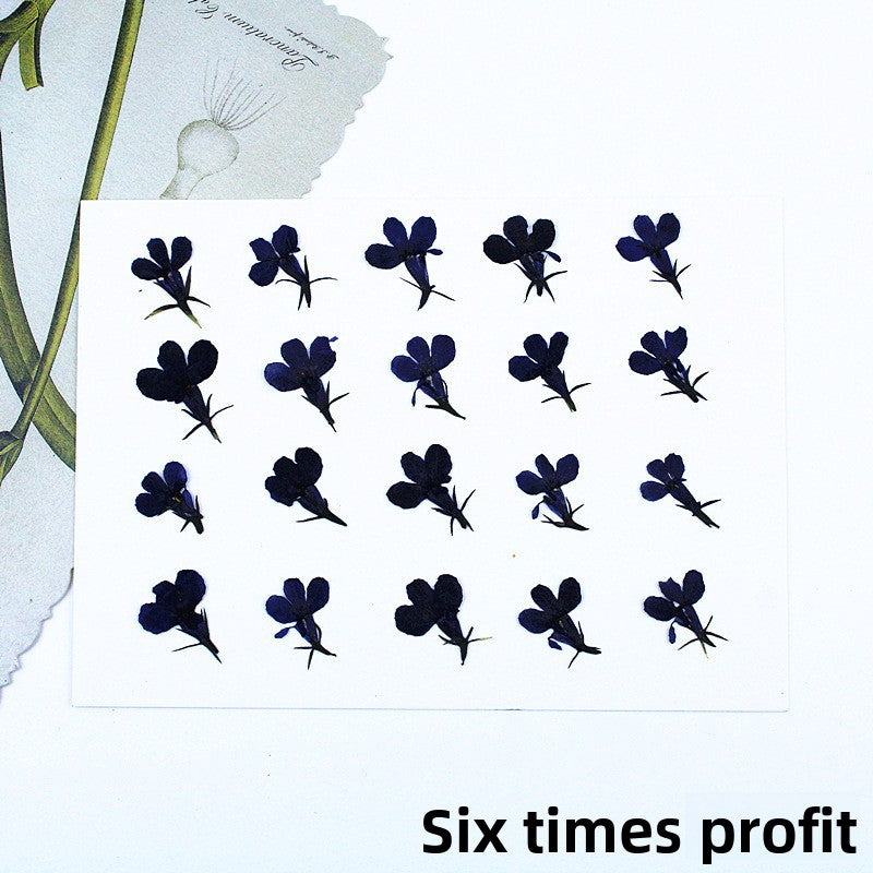 Black Dried Flowers DIY Craft Materials
