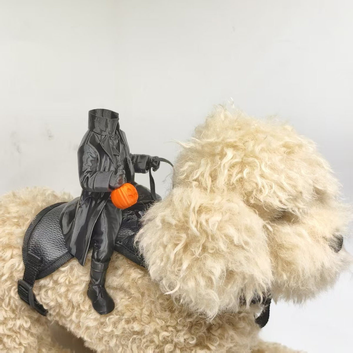 Knight Kitten Puppy Costume