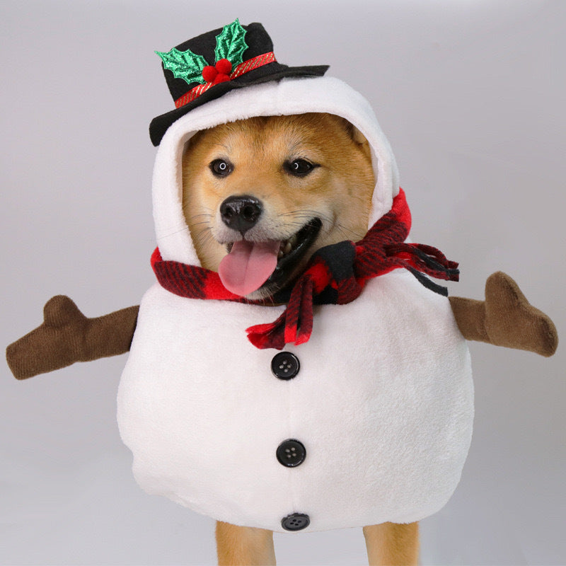 Funny and Quirky Dog Clothes