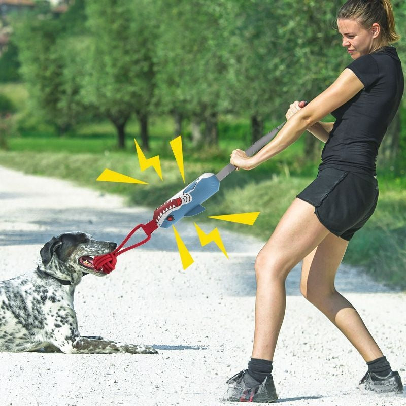 Interactive Sound Dog Toy