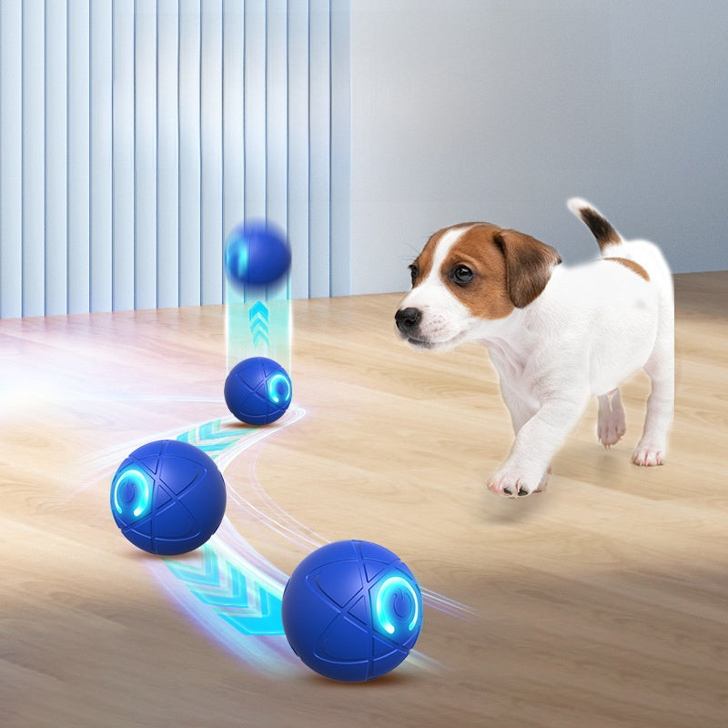 Automatic cat ball