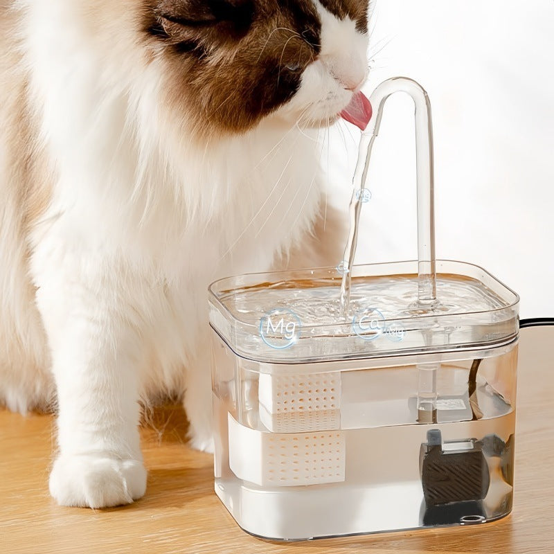 Cat water fountain