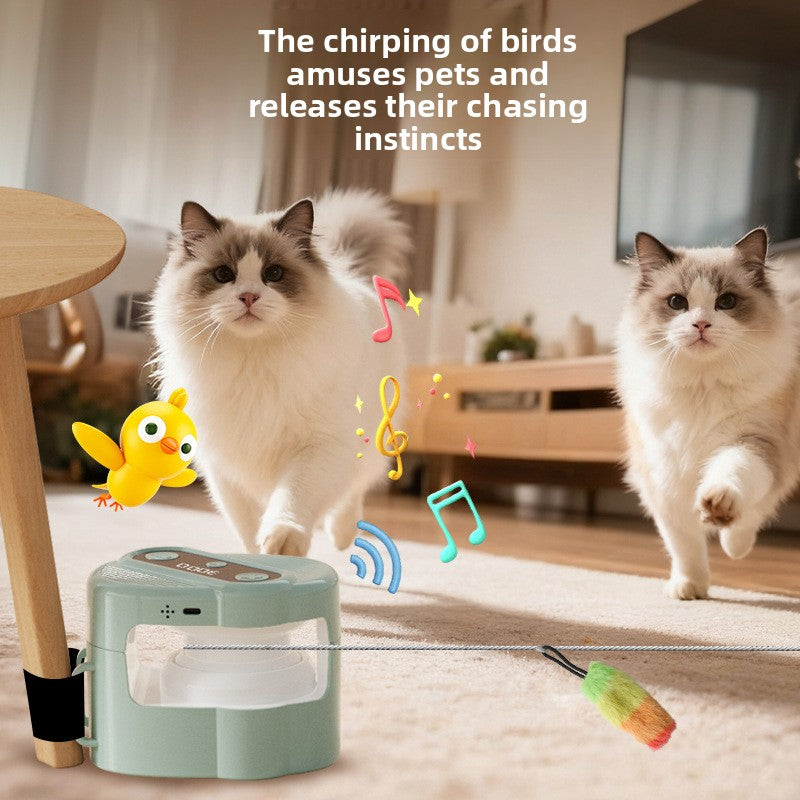 Pet teasing cat toy supplies