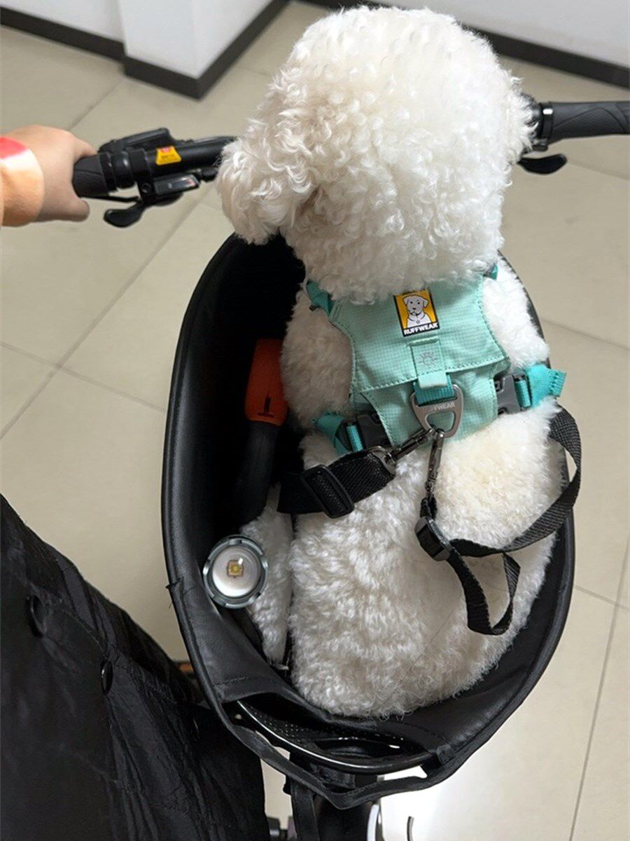 Foldable Bike Mounted Pet Basket Carrier