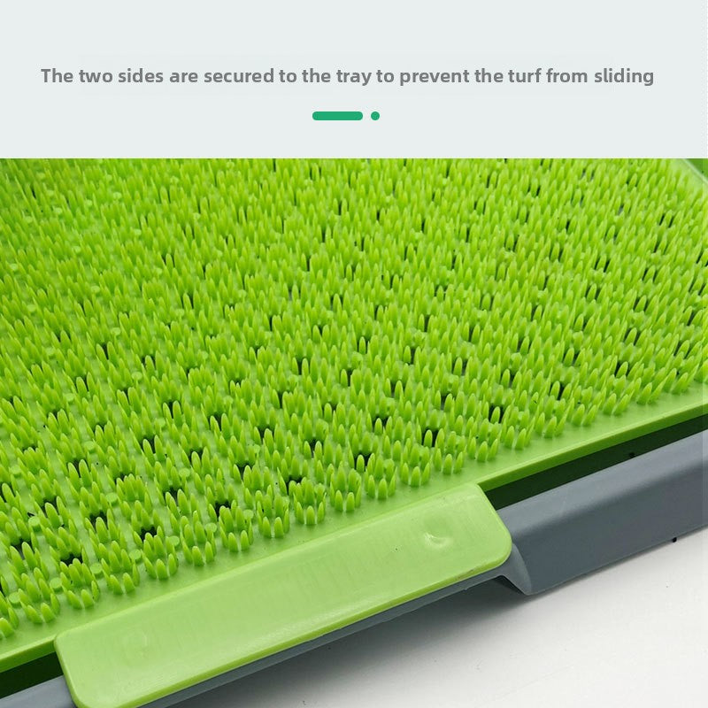 Dog toilet tray