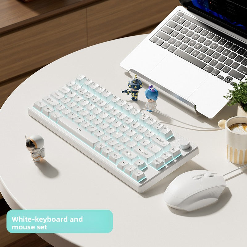 Mechanical Feel Silent Keyboard and Mouse Combo
