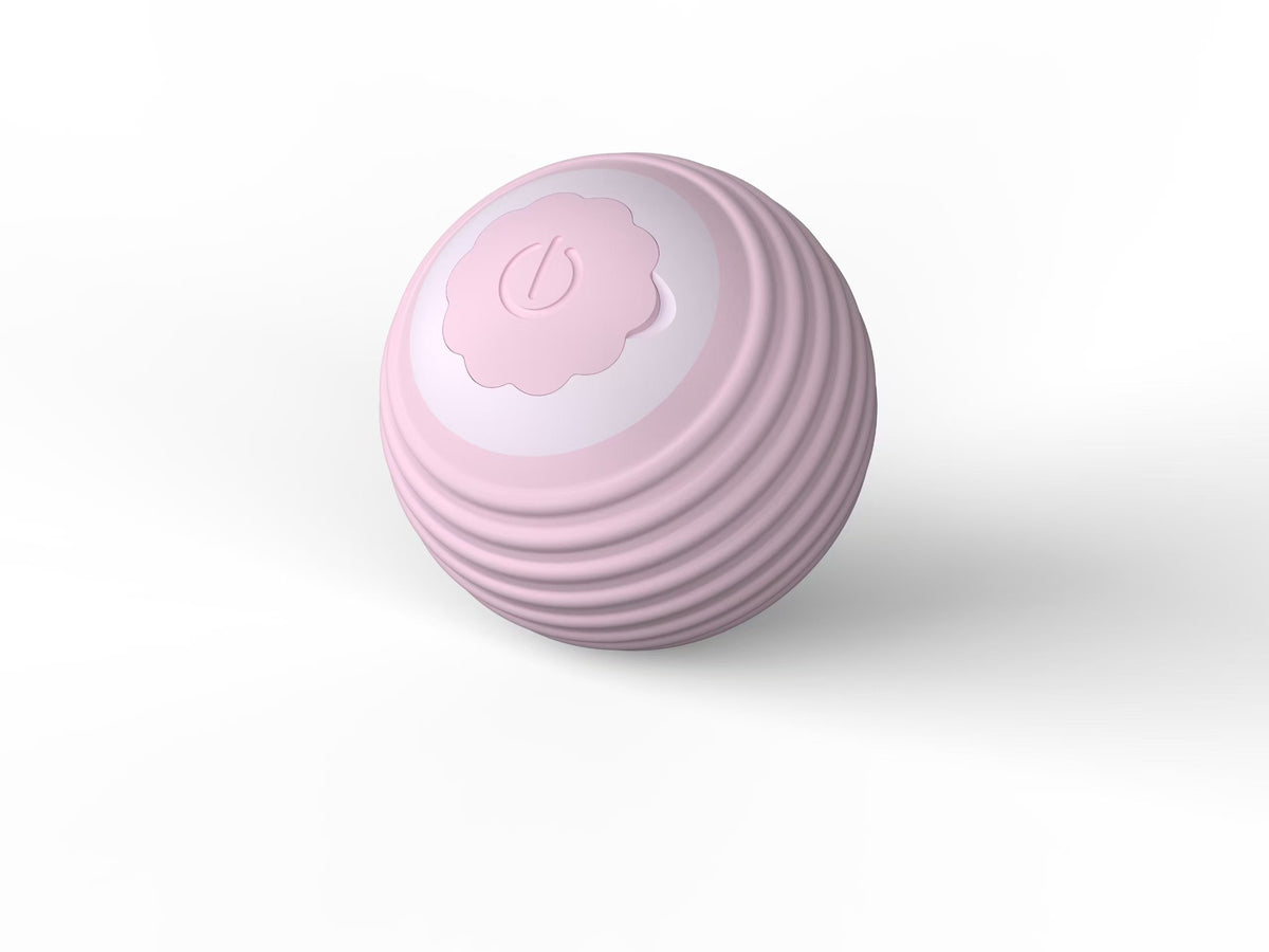 Pet Cat Toy Intelligent Rolling Ball Bite-resistant Fun Toy