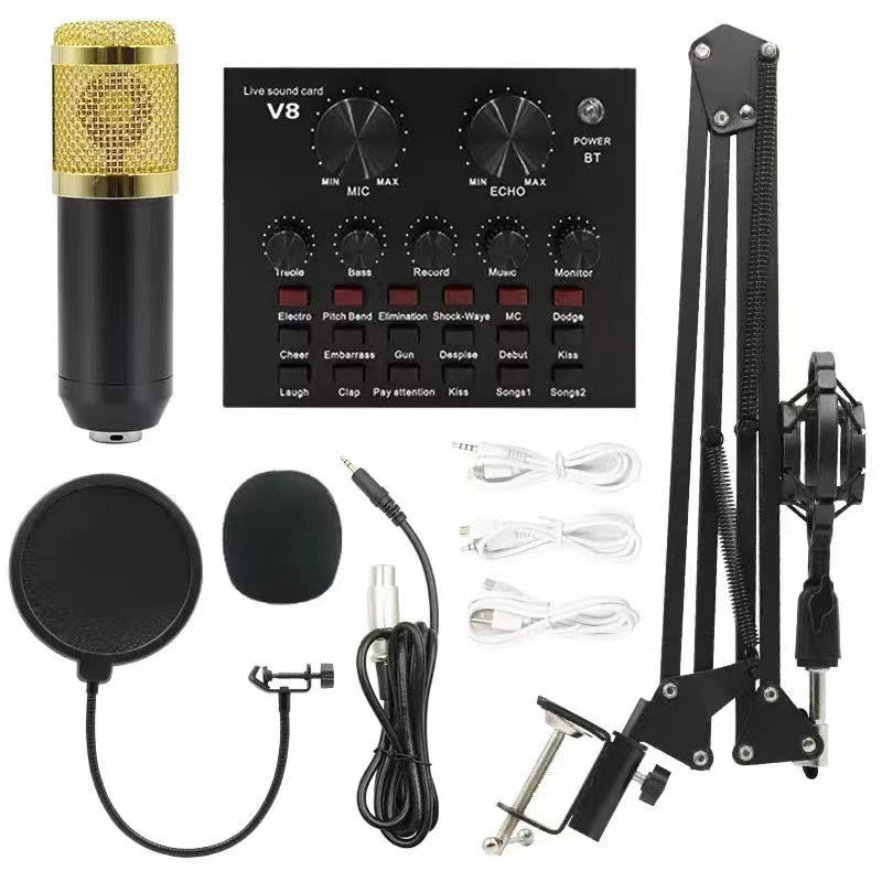 BM800 Condenser Microphone