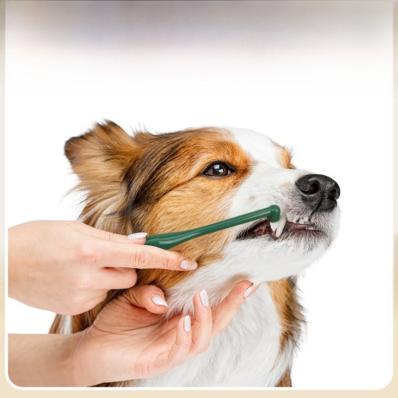 Dog Small Head Toothbrush
