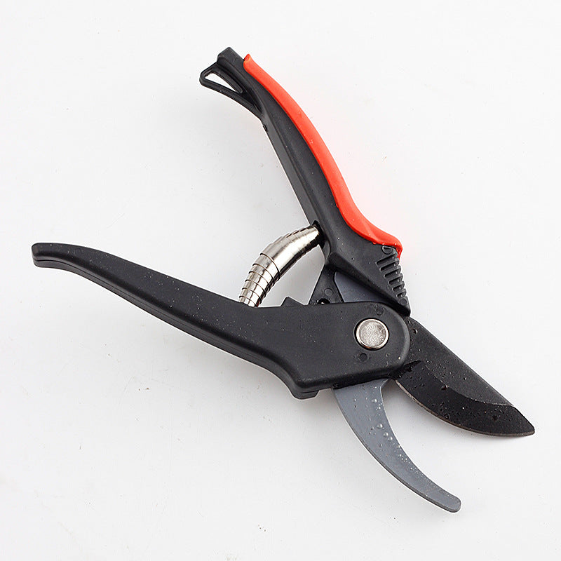 Pruning Shears for Fruit Trees