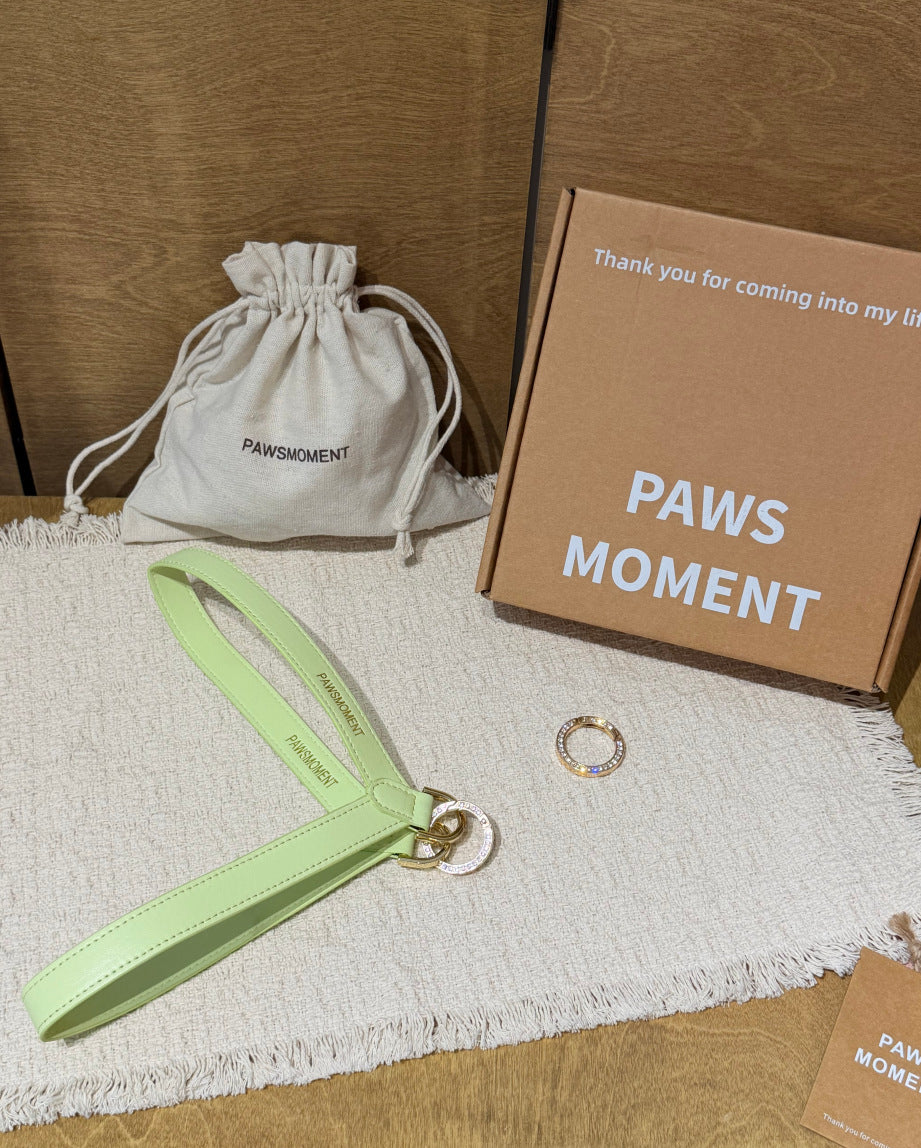 Double-Sided Dog Cat Travel Harness