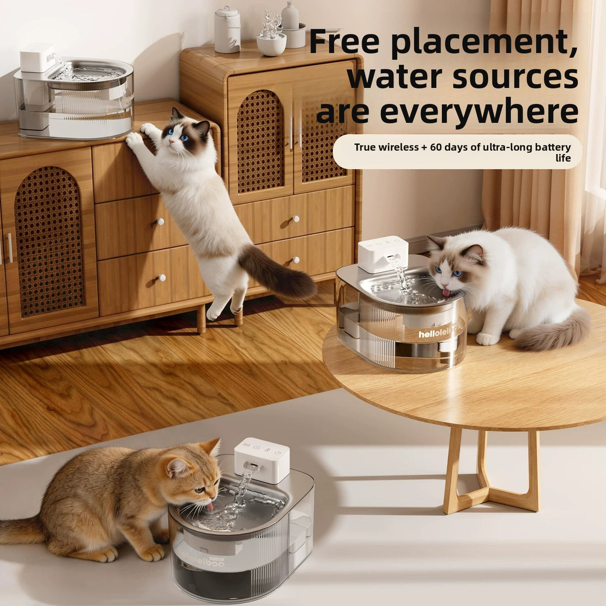 Stainless Steel Pet Water Dispenser with Wireless Sensor