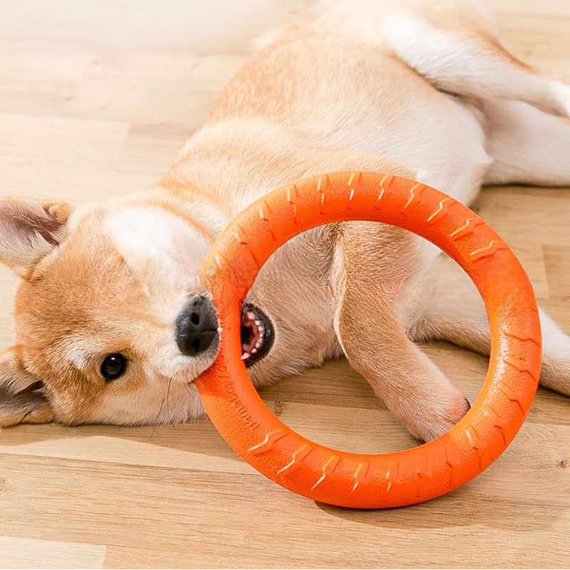 Durable Interactive Dog Chew Toy