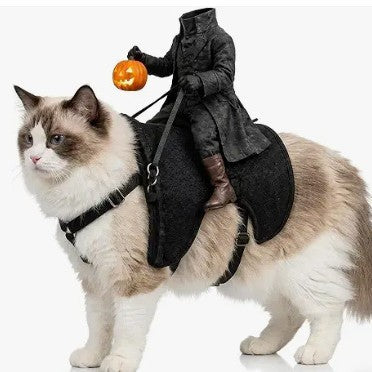 Knight Kitten Puppy Costume