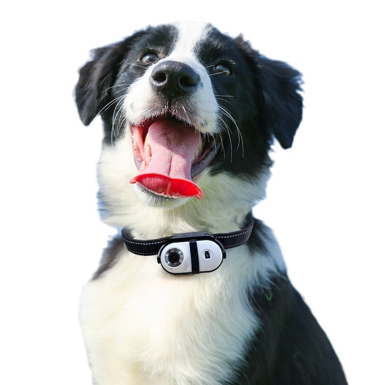 Adjustable Angle HD Pet Camera