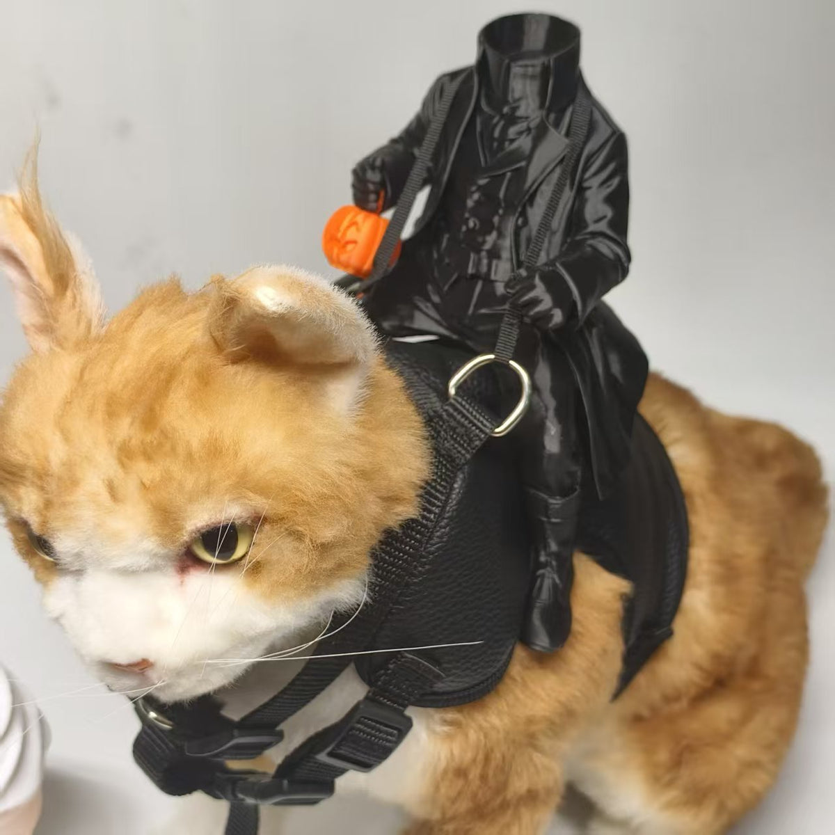 Knight Kitten Puppy Costume