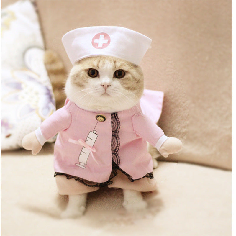 Funny and Quirky Dog Clothes