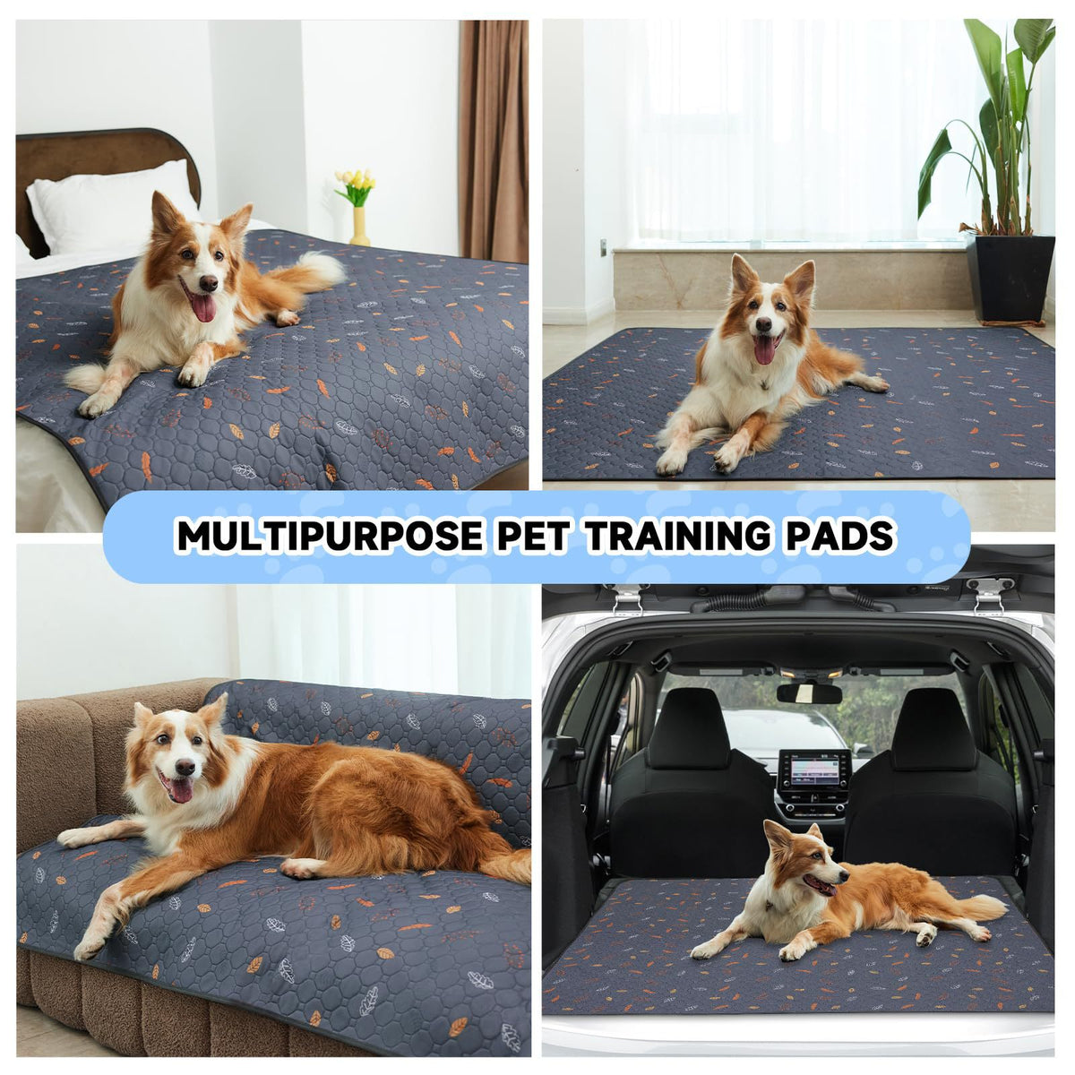 Printed Mesh Breathable Quick-Dry Pet Diaper Pads