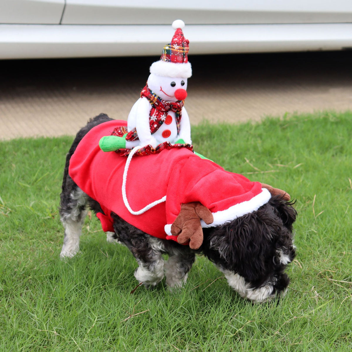 Funny and Quirky Dog Clothes