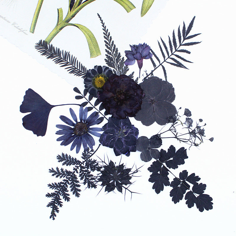 Black Dried Flowers DIY Craft Materials
