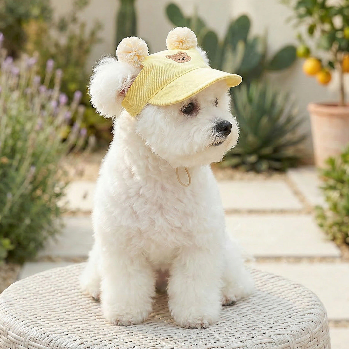 Cat and dog sun protection hat