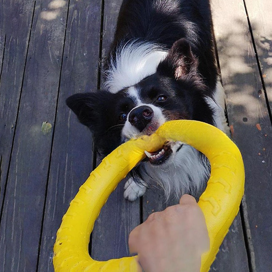 Durable Interactive Dog Chew Toy