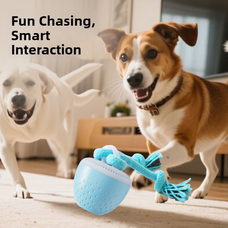 Interactive Rechargeable Dog Toy Ball
