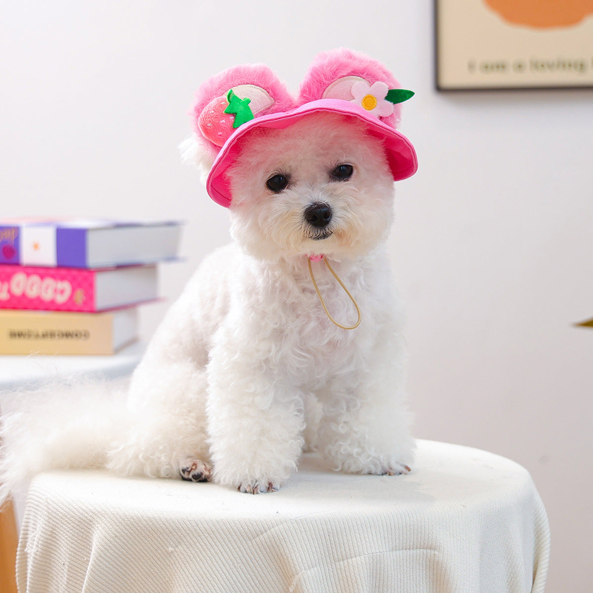 Cat and dog sun protection hat