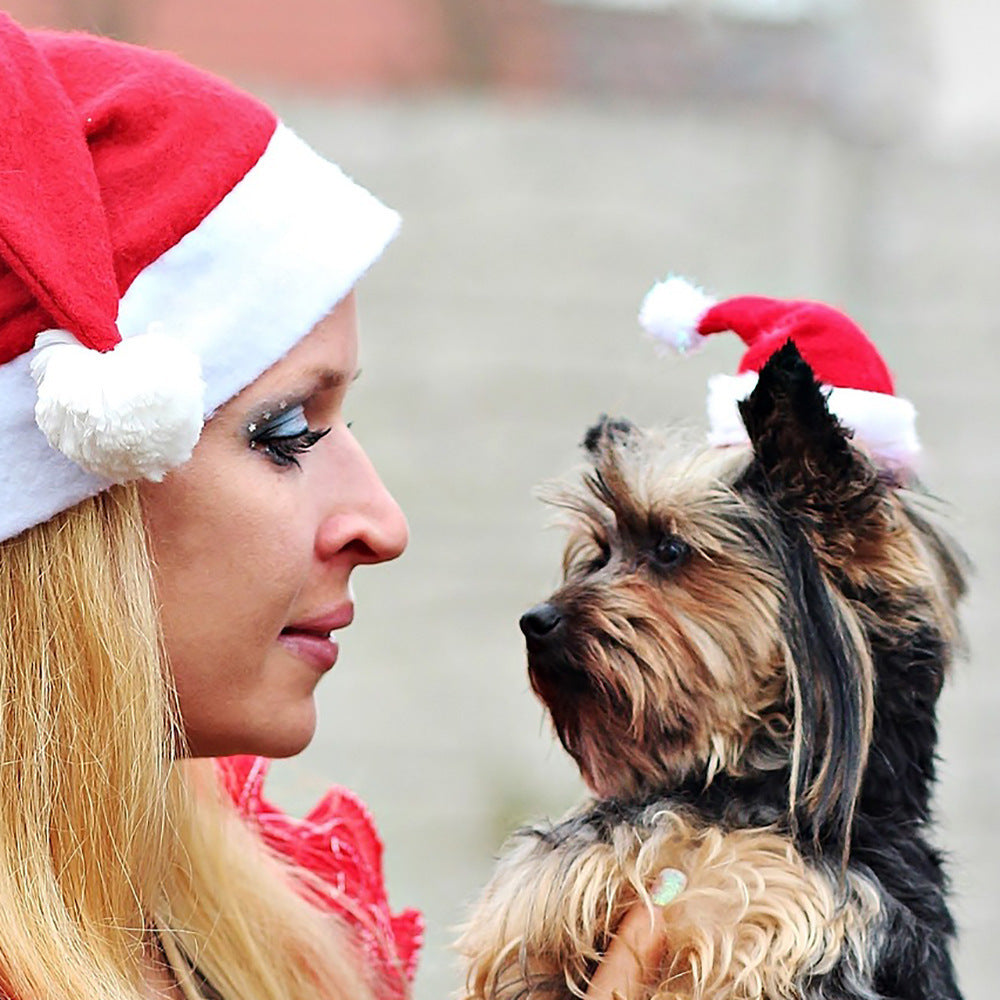 Plush Pet Christmas Hat, Festive Striped and Plaid Costume Headwear for Cats and Dogs