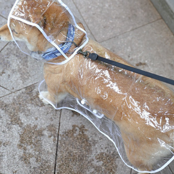 Four-legged dog raincoat