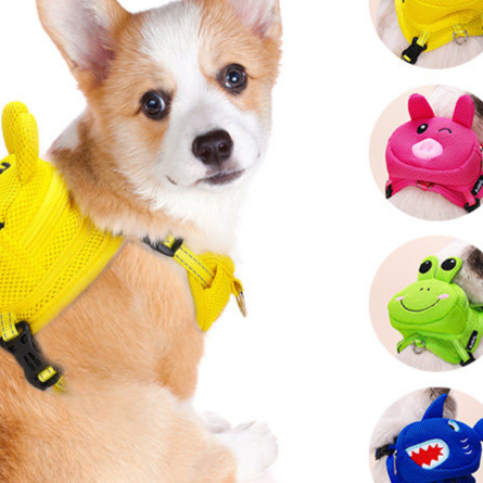 Pet backpack shoulder strap