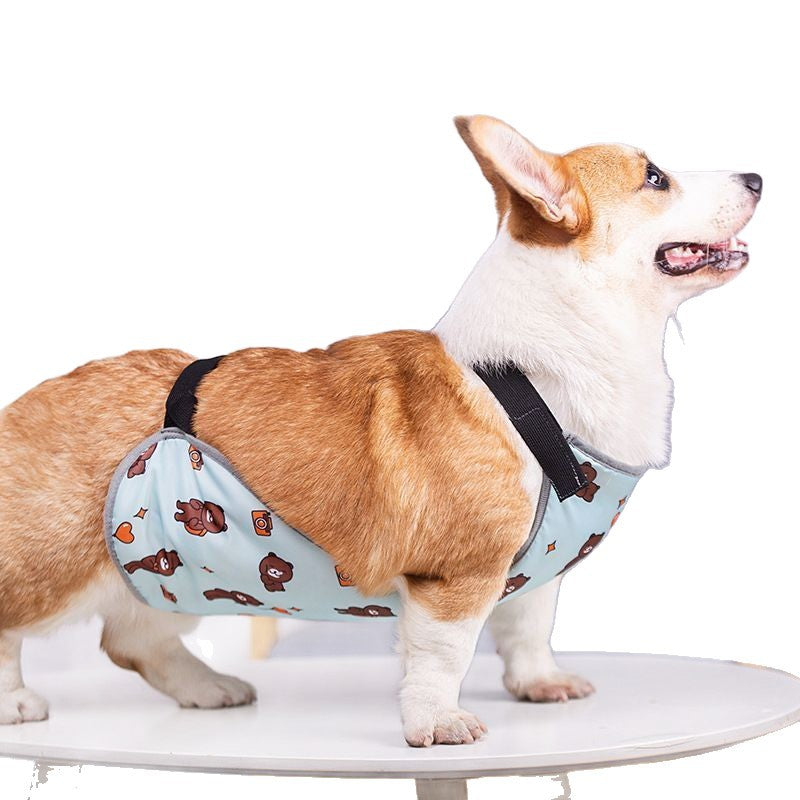Pet Belly Band