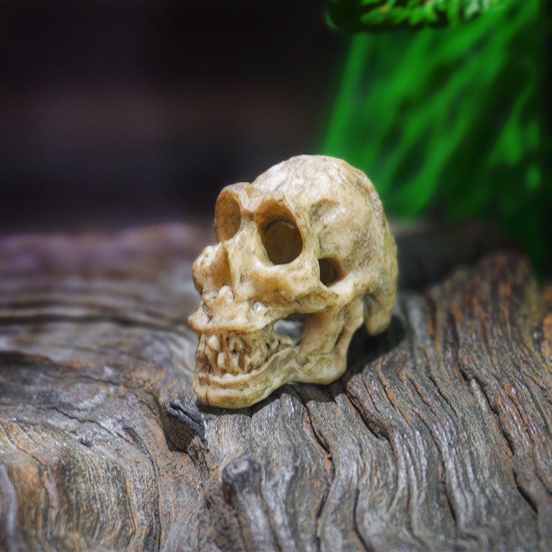Creative Animal Skull Ornament for Fish Tank Landscape Decoration