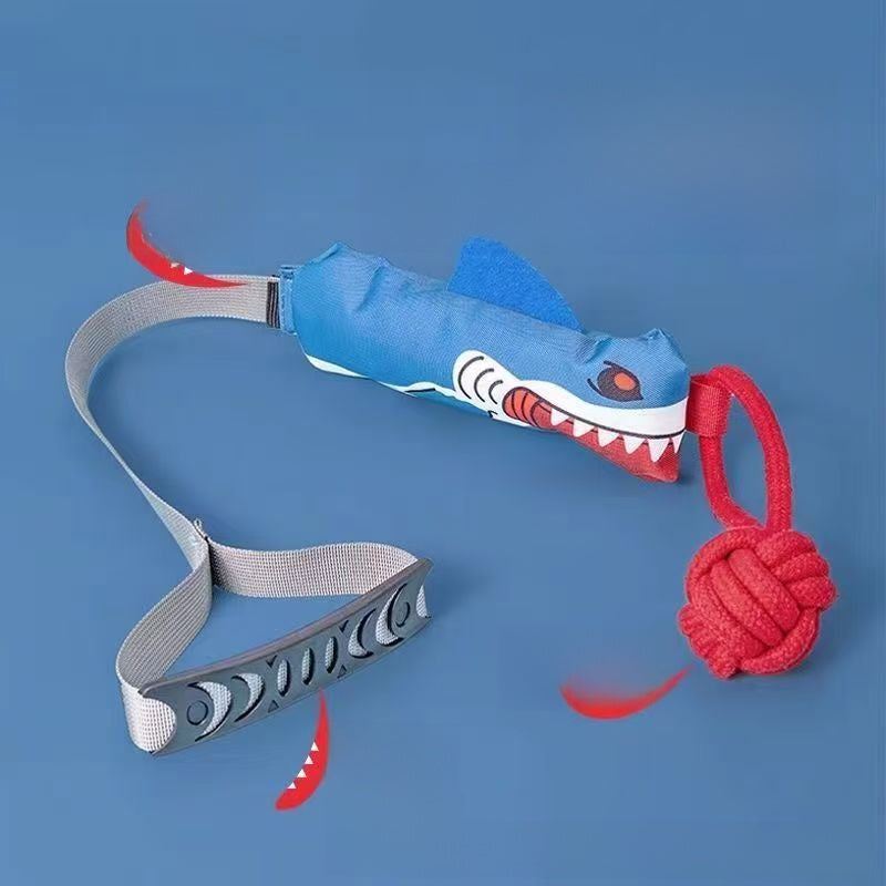 Interactive Sound Dog Toy