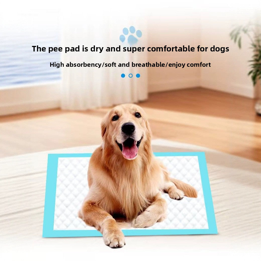 Absorbent Pet Diaper Pads