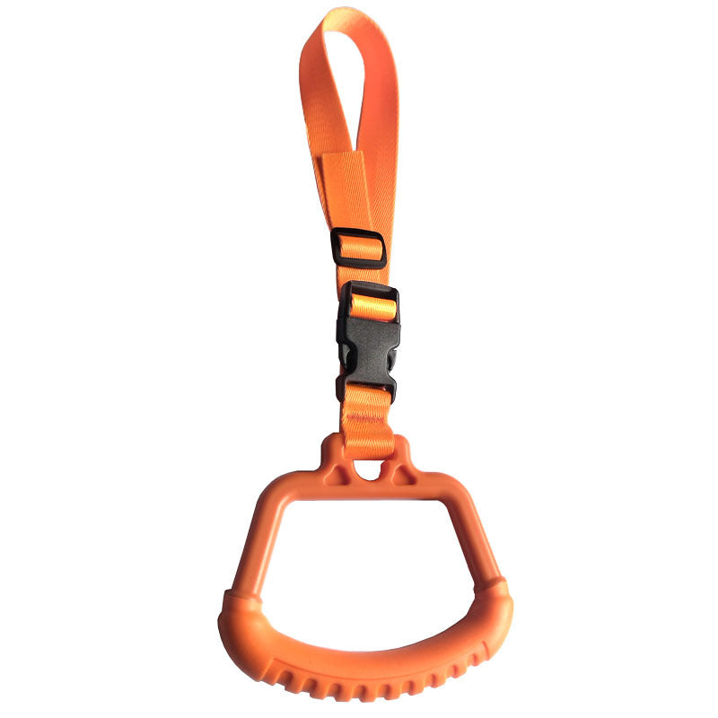 Vehicle Entry Assist Handle