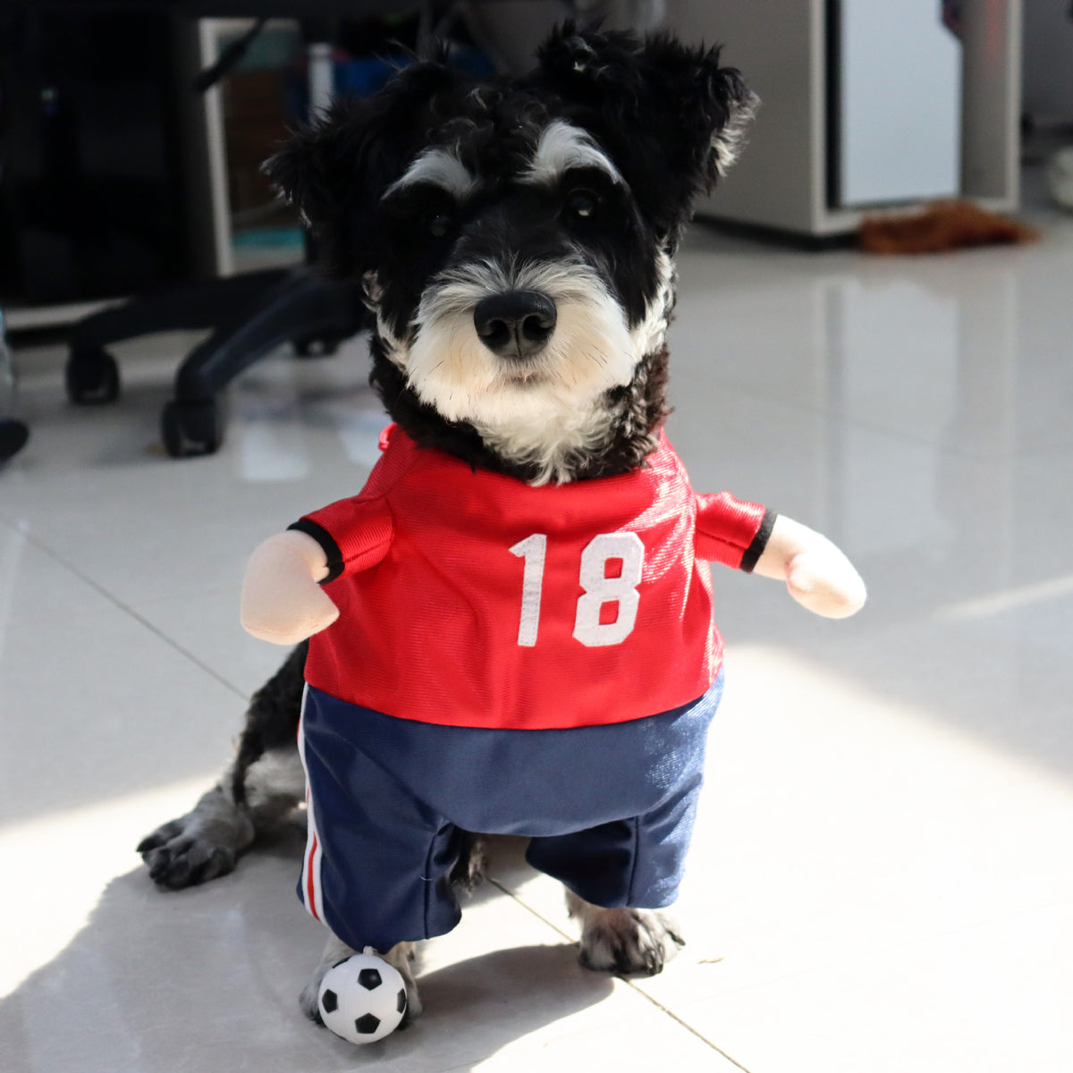 Funny and Quirky Dog Clothes