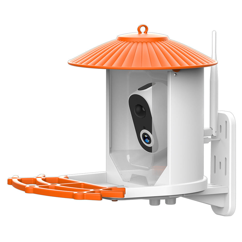 Smart Bird Feeder Camera with Solar Panel