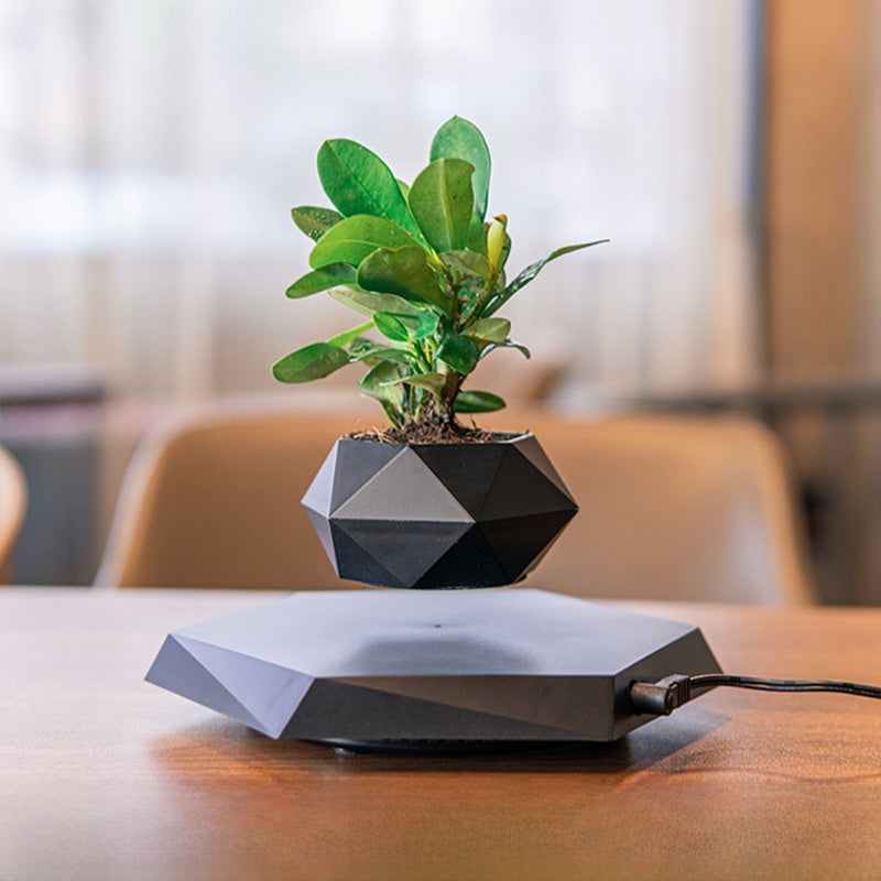 Magnetic Levitation Bonsai with Artificial Plants