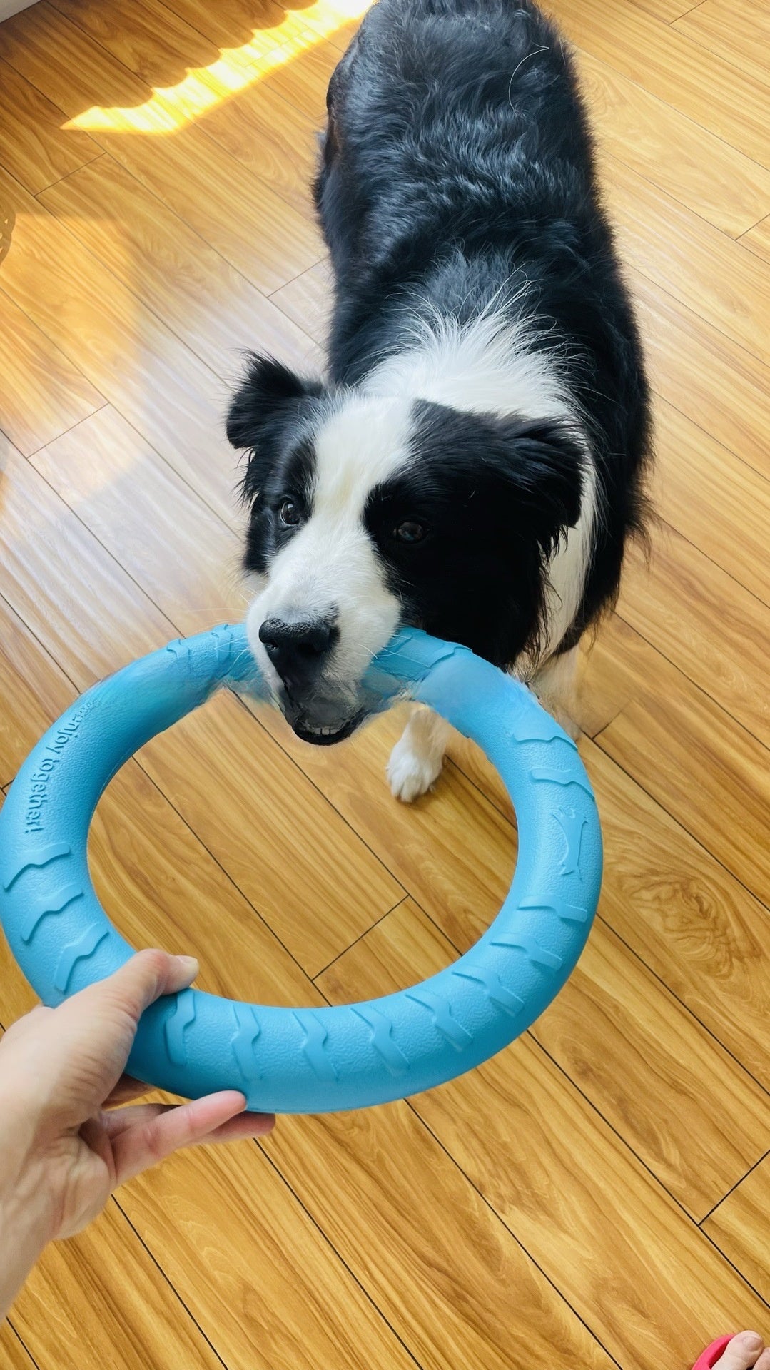 Durable Interactive Dog Chew Toy