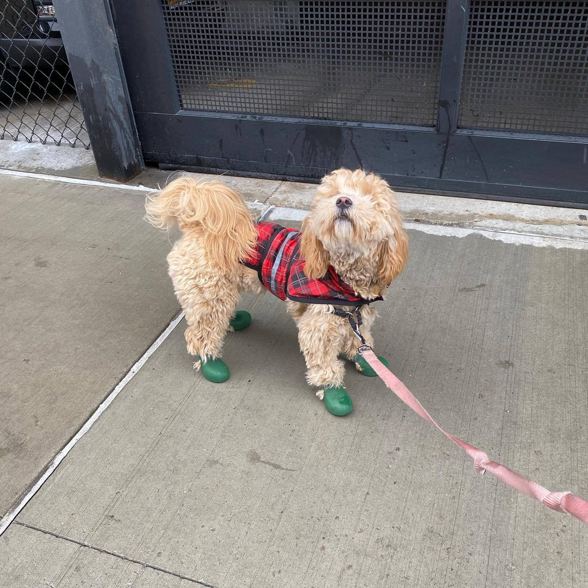 Silicone Dog Rain Boots Winter Pet Anti-Slip Shoes