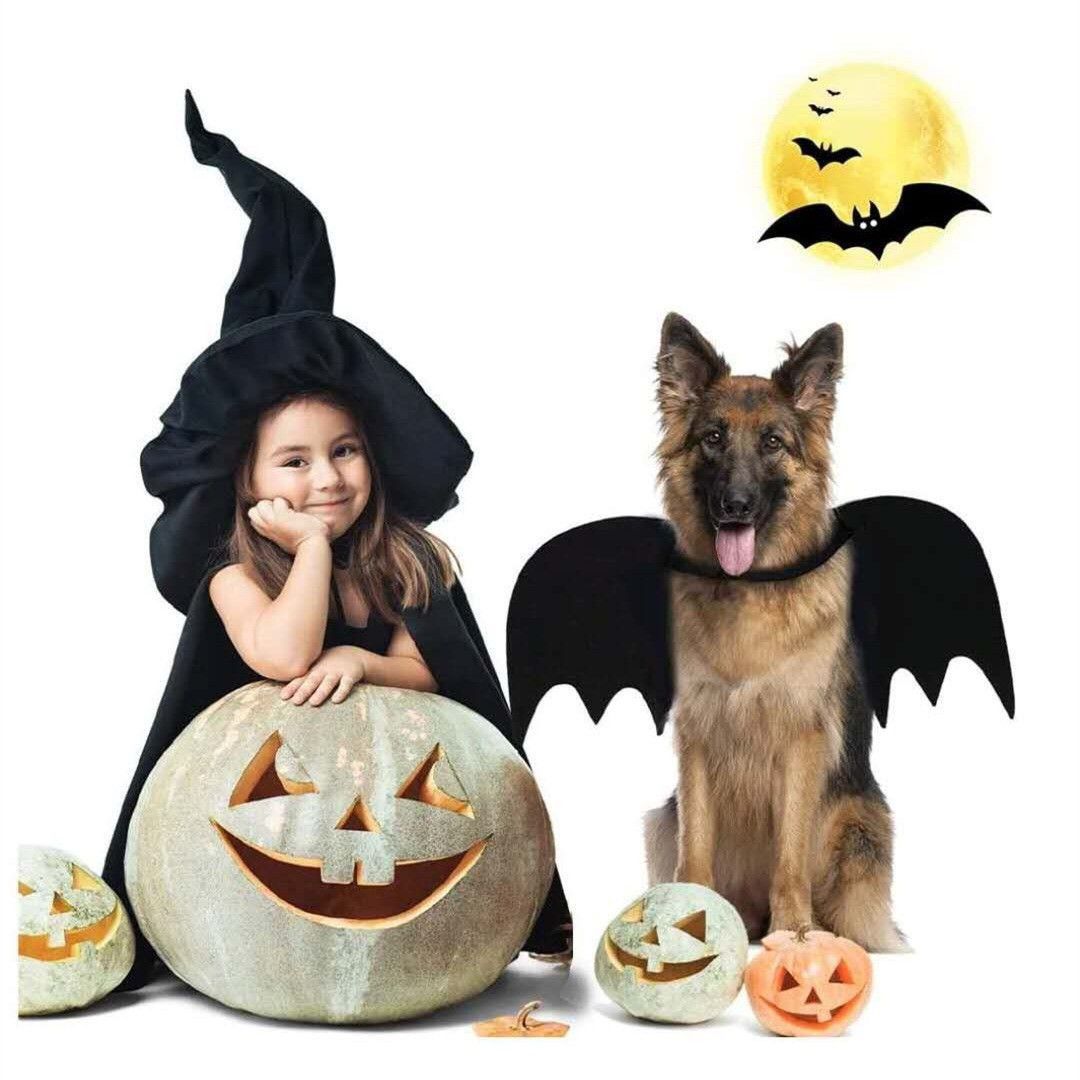 Felt Bat Wings Pet Costume Halloween Holiday Decoration