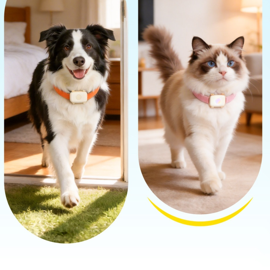 GPS pet tracker