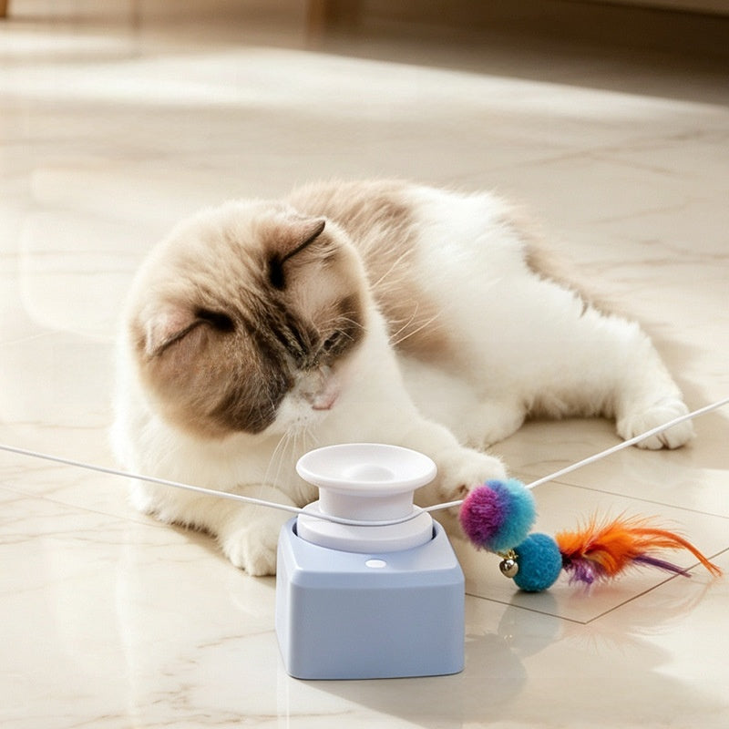 Cat Chaser Toy
