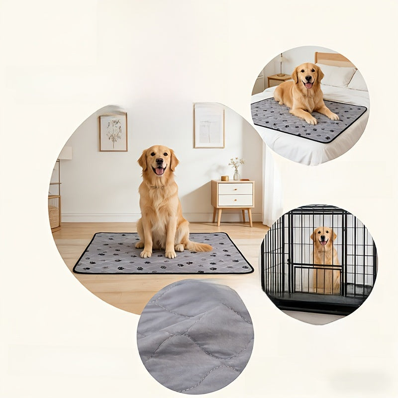 Washable Pet Training Pads with Anti-Slip Bottom