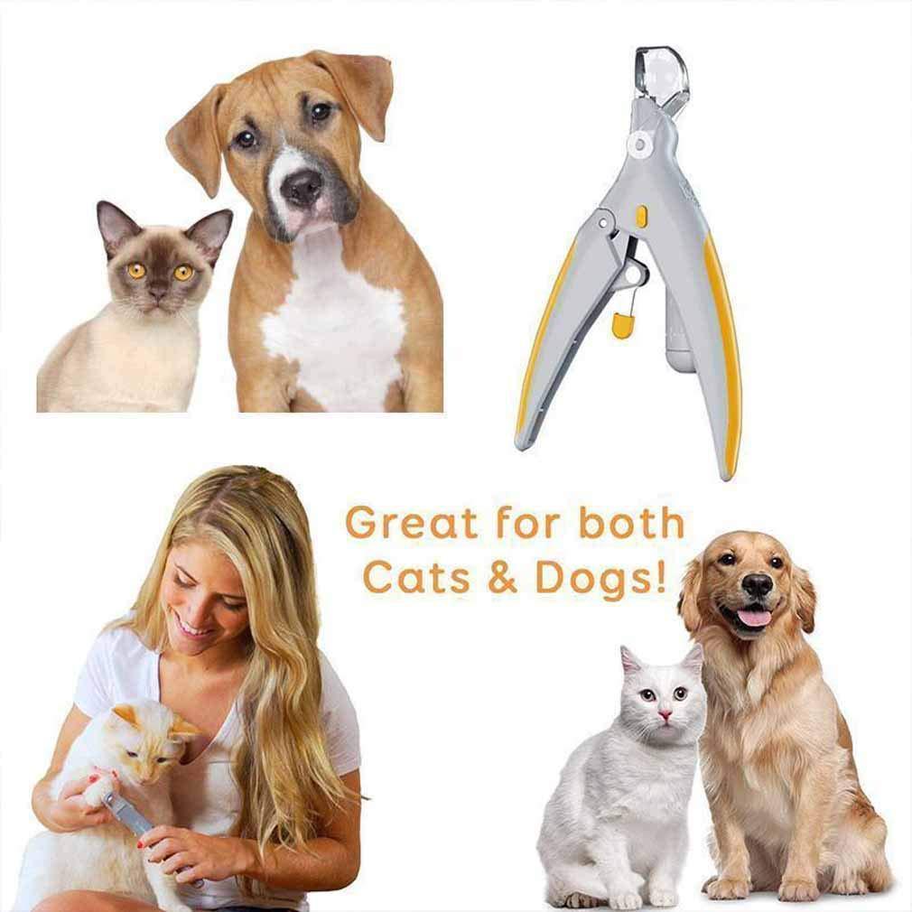 Pet Grooming Scissors and Nail Clippers