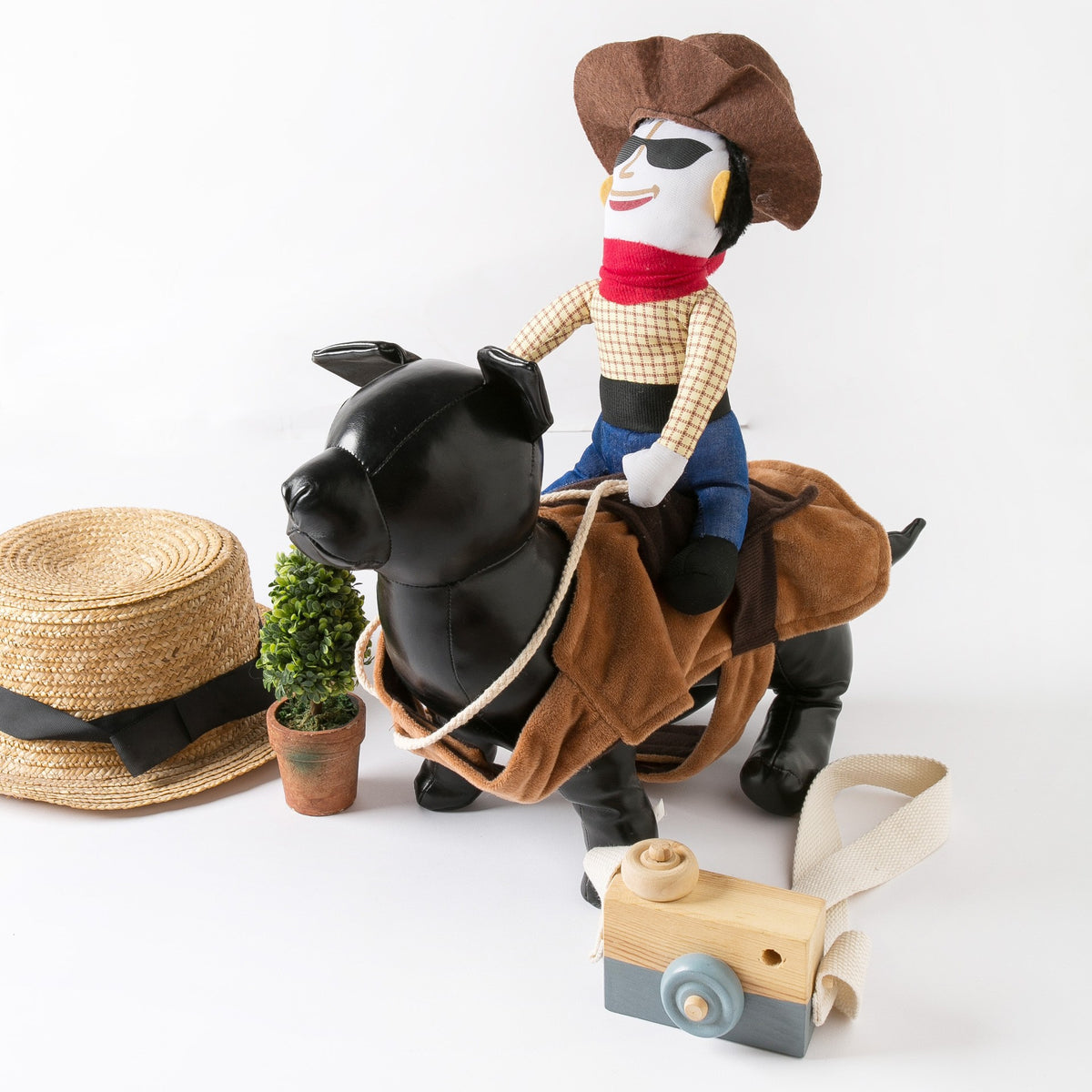 Funny and Quirky Dog Clothes